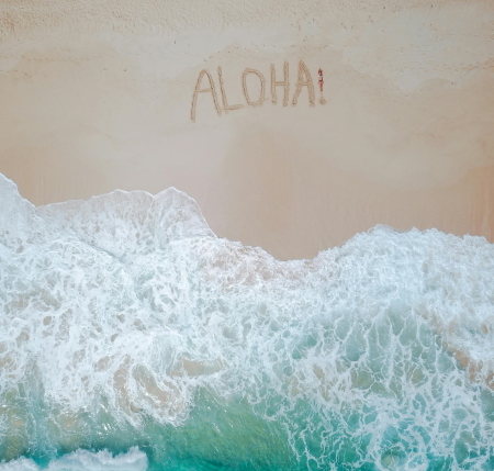 Aloha, Contact Us